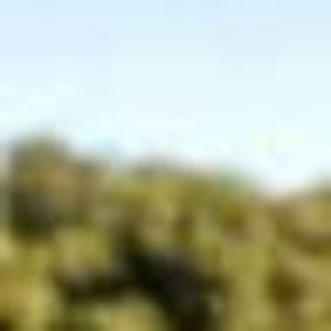 Meet your Posher, Juju